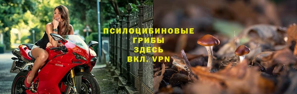 PSILOCYBIN Абинск