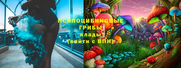 PSILOCYBIN Абинск