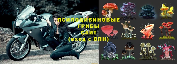 СК Абдулино