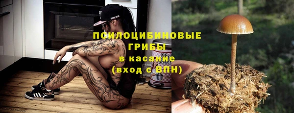 PSILOCYBIN Абинск