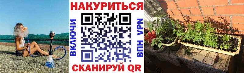Бошки Шишки сатива  сколько стоит  Невельск 